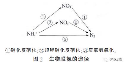 氨氮废水处理工艺