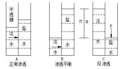 锅炉废水零排放