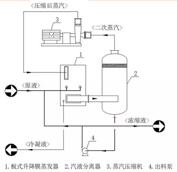 MVR蒸发器