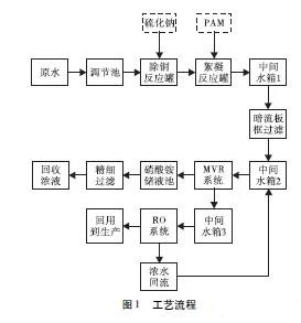 高盐废水处理.jpg